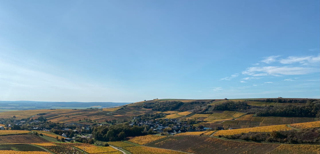 Aloxe, a company, a contribution, an approach